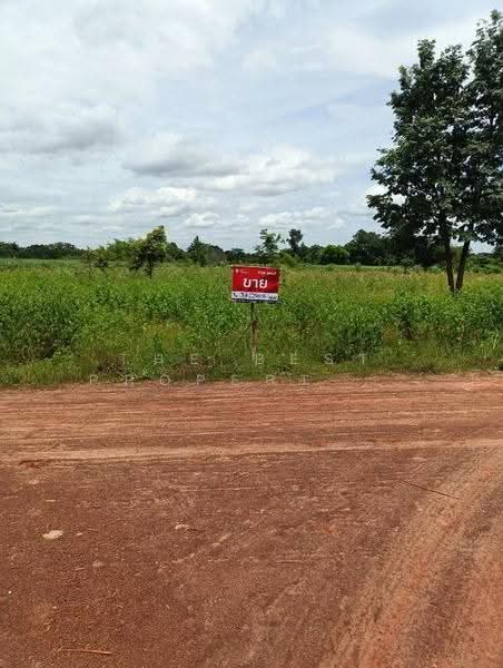 ที่ดินบ้านผือ อุดรธานี, อุดรธานี, หายโศก, บ้านผือ, อุดรธานี, 32,448 ตร.ม., ที่ดิน ขาย, โดย The Best Property ต้นอ้อ, 500522505 - DDproperty.com