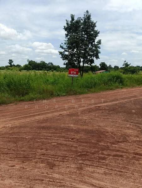 ที่ดินบ้านผือ อุดรธานี, อุดรธานี, หายโศก, บ้านผือ, อุดรธานี, 32,448 ตร.ม., ที่ดิน ขาย, โดย The Best Property ต้นอ้อ, 500522505 - DDproperty.com
