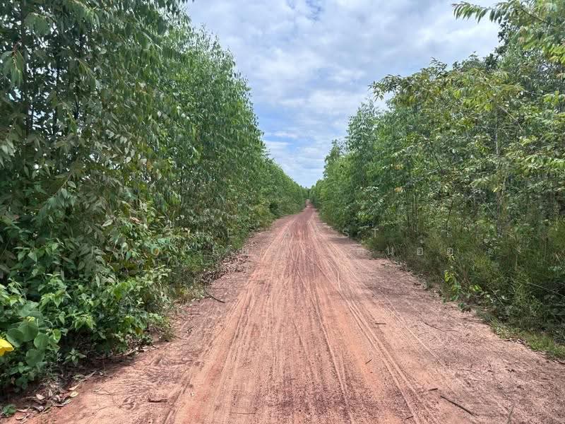 ที่ดินบ้านผือ อุดรธานี, อุดรธานี, หายโศก, บ้านผือ, อุดรธานี, 32,448 ตร.ม., ที่ดิน ขาย, โดย The Best Property ต้นอ้อ, 500522505 - DDproperty.com