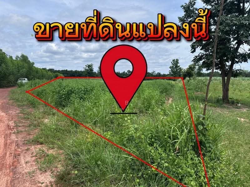 ที่ดินบ้านผือ อุดรธานี, Udon Thani, Hai Sok, Ban Phu, Udon Thani, , 32,448 sqm, Land For Sale, by The Best Property ต้นอ้อ, 500522505 - DDproperty.com