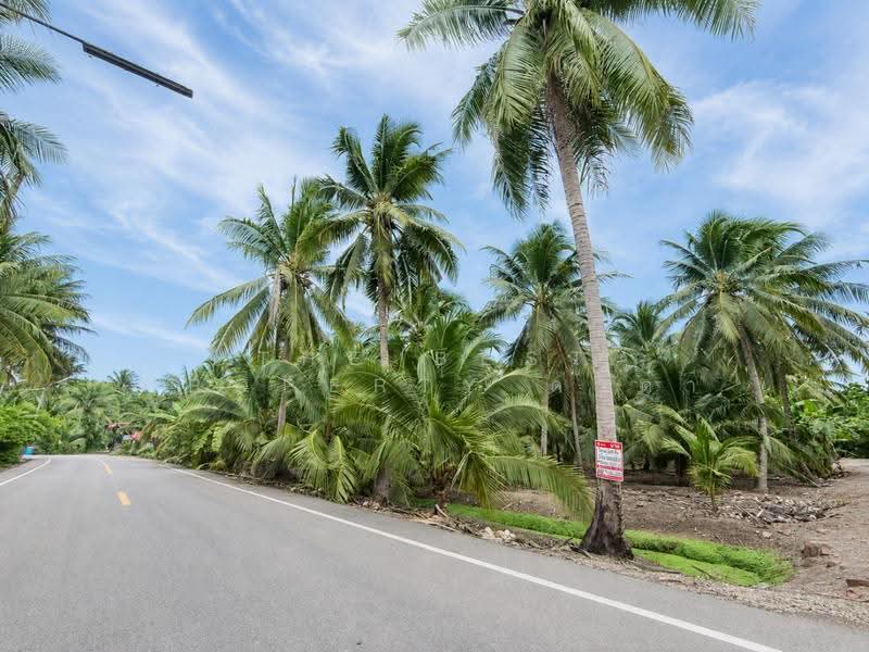 บ้านเดี่ยวพร้อมที่ดินบางคนที สมุทรสงคราม, Samut Songkhram, Chom Pluak, Bang Khon Ti, Samut Songkhram, 2 Bedrooms, 100 sqm, Single Detached House For Sale, by The Best Property ดาด้า, 500522763 - DDproperty.com