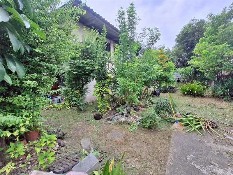 นักกีฬาแหลมทอง ซอยแหลมทอง48, Bangkok, ถนนศรีนครินทร์, Bang Chak, Phra Khanong, Bangkok, 2 Bedrooms, 180 sqm, Single Detached House For Sale, by คุณ ปิยวัฒน์ ฟุ้งเฟื่อง (วัฒ), 500522806 - DDproperty.com