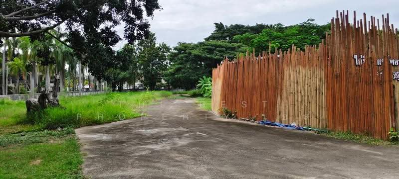 ที่ดินหนองหอย เชียงใหม่, เชียงใหม่, หนองหอย, เมืองเชียงใหม่, เชียงใหม่, 13,073 ตร.ม., ที่ดิน ขาย, โดย The Best Property เอส, 500522820 - DDproperty.com