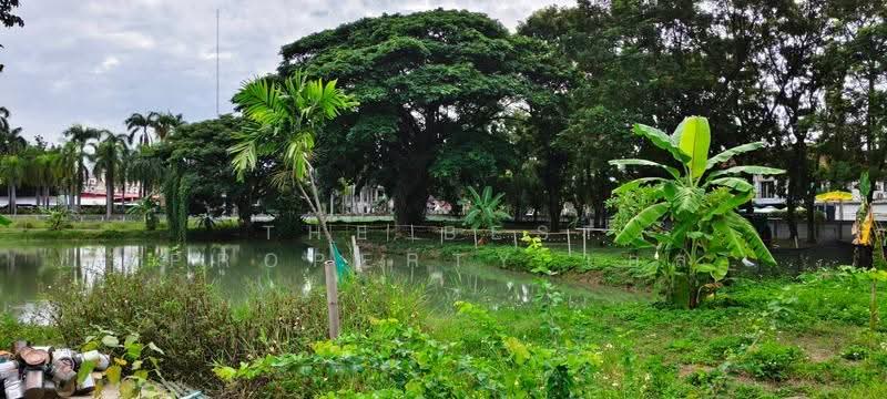 ที่ดินหนองหอย เชียงใหม่, Chiang Mai, Nong Hoi, Muang Chiang Mai, Chiang Mai, , 13,073 sqm, Land For Sale, by The Best Property เอส, 500522820 - DDproperty.com