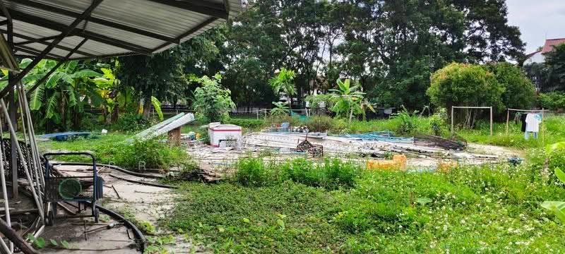 ที่ดินหนองหอย เชียงใหม่, เชียงใหม่, หนองหอย, เมืองเชียงใหม่, เชียงใหม่, 13,073 ตร.ม., ที่ดิน ขาย, โดย The Best Property เอส, 500522820 - DDproperty.com