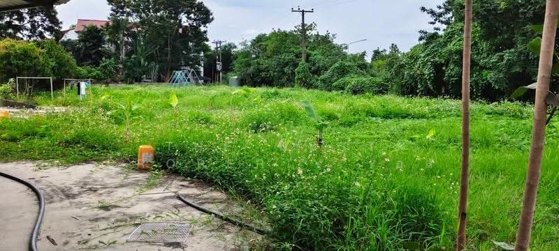 ที่ดินหนองหอย เชียงใหม่, เชียงใหม่, หนองหอย, เมืองเชียงใหม่, เชียงใหม่, 13,073 ตร.ม., ที่ดิน ขาย, โดย The Best Property เอส, 500522820 - DDproperty.com