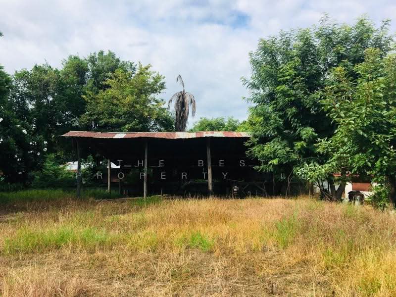บ้านเดี่ยวพร้อมที่ดินเดิมบางนางบวช สุพรรณบุรี, สุพรรณบุรี, หัวเขา, เดิมบางนางบวช, สุพรรณบุรี, 150 ตร.ม., บ้านเดี่ยว ขาย, โดย The Best Property แอ้, 500522851 - DDproperty.com