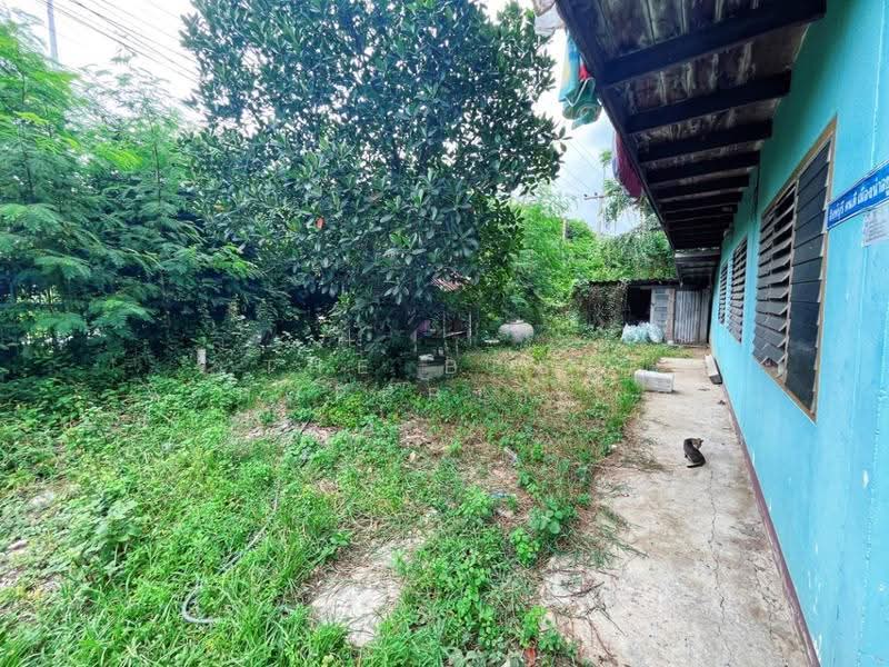 บ้านเดี่ยวพร้อมที่ดินค่ายบางระจัน สิงห์บุรี, สิงห์บุรี, บางระจัน, ค่ายบางระจัน, สิงห์บุรี, 150 ตร.ม., บ้านเดี่ยว ขาย, โดย The Best Property แอ้, 500522955 - DDproperty.com