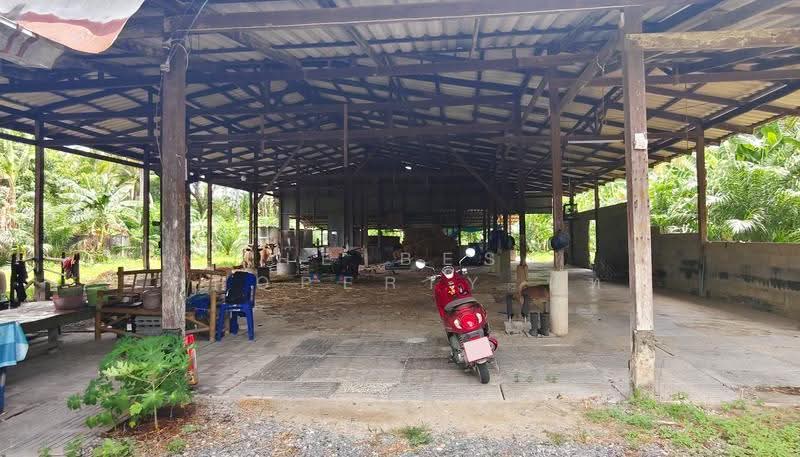 ที่ดินพร้อมสิ่งปลูกสร้างหัวไทร นครศรีธรรมราช, นครศรีธรรมราช, บ้านราม, หัวไทร, นครศรีธรรมราช, 2,984 ตร.ม., ที่ดิน ขาย, โดย The Best Property นัท, 500522973 - DDproperty.com