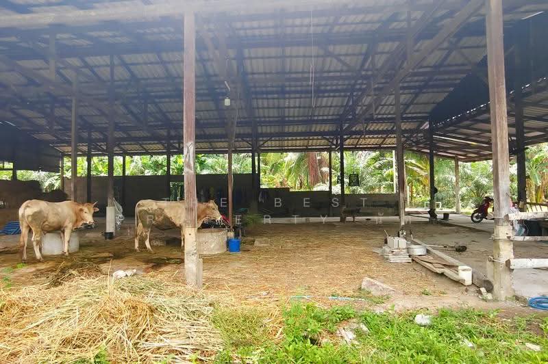 ที่ดินพร้อมสิ่งปลูกสร้างหัวไทร นครศรีธรรมราช, นครศรีธรรมราช, บ้านราม, หัวไทร, นครศรีธรรมราช, 2,984 ตร.ม., ที่ดิน ขาย, โดย The Best Property นัท, 500522973 - DDproperty.com