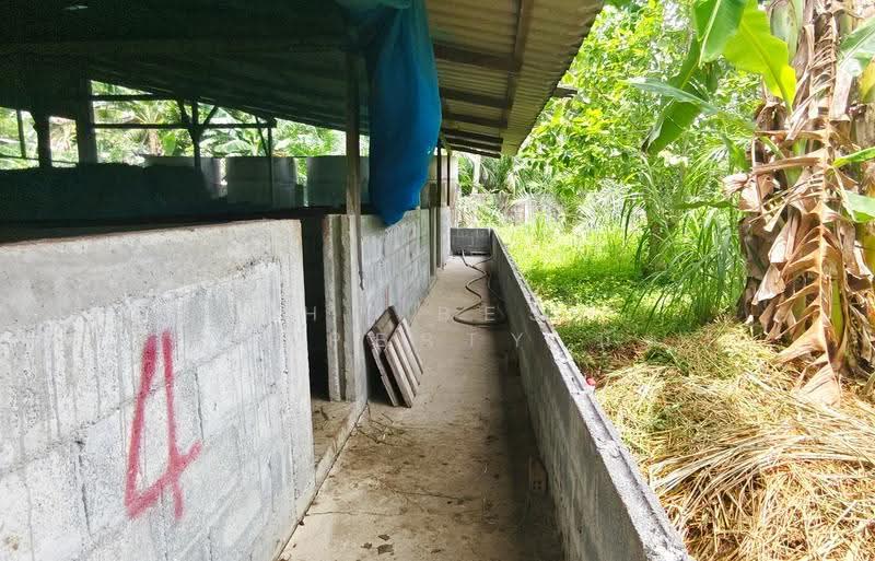 ที่ดินพร้อมสิ่งปลูกสร้างหัวไทร นครศรีธรรมราช, Nakhon Si Thammarat, Ban Ram, Hua Sai, Nakhon Si Thammarat, , 2,984 sqm, Land For Sale, by The Best Property นัท, 500522973 - DDproperty.com