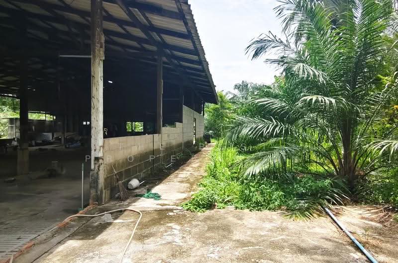 ที่ดินพร้อมสิ่งปลูกสร้างหัวไทร นครศรีธรรมราช, นครศรีธรรมราช, บ้านราม, หัวไทร, นครศรีธรรมราช, 2,984 ตร.ม., ที่ดิน ขาย, โดย The Best Property นัท, 500522973 - DDproperty.com