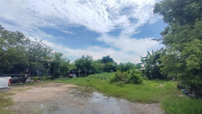 ที่ดินเปล่า 271 ตร.ว. ที่ดิน ซอยจ่าเหวก ใกล้บิ๊กซีพระประแดง, สมุทรปราการ, ถนนสุขสวัสดิ์, ในคลองบางปลากด, พระสมุทรเจดีย์, สมุทรปราการ, 1,084 ตร.ม., ที่ดิน ขาย, โดย คุณ กันต์ปพัทธ์ คัมภีร์ภัคภาค (กีต้า), 500523047 - DDproperty.com