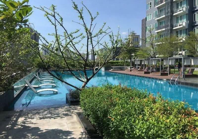 Siri At Sukhumvit, Bangkok, 902 Sukhumvit Road, Phra Kanong, Khlong Toei, Bangkok, 1 Bedroom, 52 sqm, Condo For Rent, by ทศวัฏฏ์ วิเศษสัมมาพันธ์, 500523210 - DDproperty.com