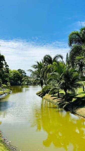 The Village Housing Estate by Horseshoe Point : เดอะ วิลเลจ เฮ้าส์ซิ่ง เอสเตท โดย ฮอร์สชู พอยท์, ชลบุรี, ถนนทุ่งกลม-ห้วยตาหนู, หนองปรือ, บางละมุง, ชลบุรี, 242 ตร.ม., บ้านเดี่ยว ขาย, โดย Valen Lokunpai , 500523483 - DDproperty.com