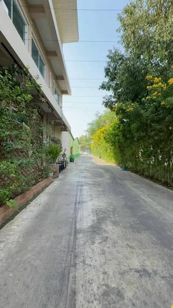 ขายที่ดิน 3 ไร่ 84 ตร.ว. ถนนเลียบคลองสอง คลองสามวา, กรุงเทพ, บางชัน, คลองสามวา, กรุงเทพ, 5,136 ตร.ม., ที่ดิน ขาย, โดย นภารัตน์ นาคดี, 500523640 - DDproperty.com