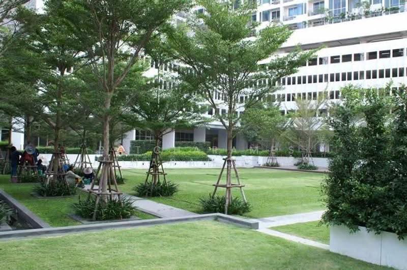 Villa Ratchatewi, Bangkok, 83 Phayathai Road, Thanon Phaya Thai, Ratchathewi, Bangkok, 1 Bedroom, 55 sqm, Condo For Rent, by Patcharames Pattharapornviboon, 500523703 - DDproperty.com