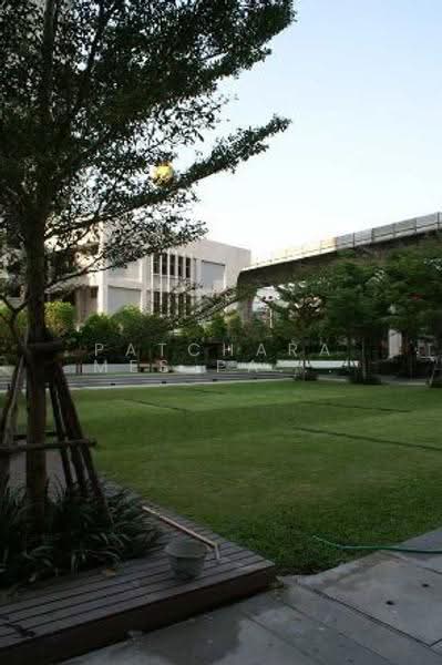 Villa Ratchatewi, Bangkok, 83 Phayathai Road, Thanon Phaya Thai, Ratchathewi, Bangkok, 1 Bedroom, 55 sqm, Condo For Rent, by Patcharames Pattharapornviboon, 500523703 - DDproperty.com