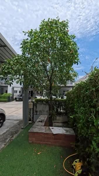 Chuan Chuen Park Onnut-Wongwaen, Bangkok, Kanchanaphisek Road, Prawet, Prawet, Bangkok, 3 Bedrooms, 21 sqm, Single Detached House For Sale, by Connex Property, 500523809 - DDproperty.com