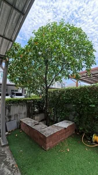 Chuan Chuen Park Onnut-Wongwaen, Bangkok, Kanchanaphisek Road, Prawet, Prawet, Bangkok, 3 Bedrooms, 21 sqm, Single Detached House For Sale, by Connex Property, 500523809 - DDproperty.com