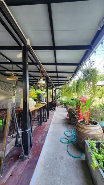 จอมทอง เอกชัย, กรุงเทพ, เอกชัย, บางขุนเทียน, จอมทอง, กรุงเทพ, 700 ตร.ม., บ้านเดี่ยว ขาย, โดย ศิริกาญจณ์ ประณุทกระสานติ์, 500523939 - DDproperty.com
