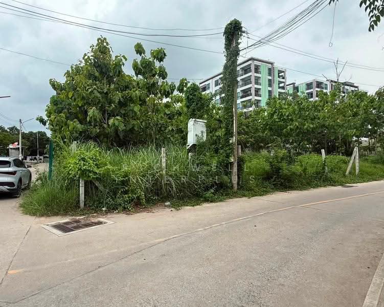 Land for sale in Nong Pla Lai, Pattaya. Corner plot, 376 sq.wa, Chon Buri (Pattaya), Nong Pla Lai, Bang Lamung (Pattaya), Chon Buri (Pattaya), , 1,504 sqm, Land For Sale, by RICHWELL INTERPLUS, 500524009 - DDproperty.com