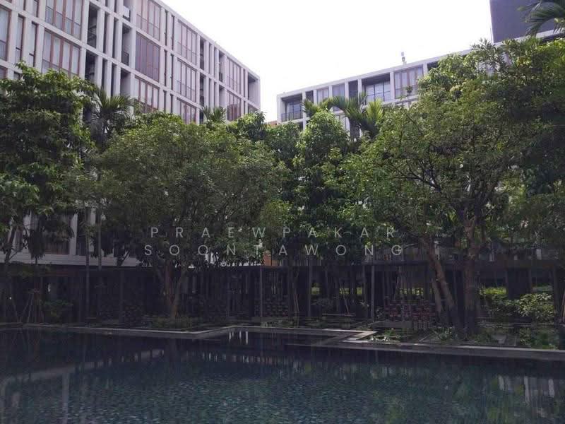 Hasu Haus, Bangkok, Sukhumvit 77 Road, Phra Kanong Nua, Watthana, Bangkok, 1 Bedroom, 37 sqm, Condo For Rent, by Praewpakar Soontawong, 500524197 - DDproperty.com