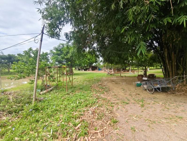 ที่ดินพร้อมสิ่งปลูกสร้างบ้านโป่ง ราชบุรี, ราชบุรี, สวนกล้วย, บ้านโป่ง, ราชบุรี, 10,864 ตร.ม., ที่ดิน ขาย, โดย The Best Property หยก, 500524247 - DDproperty.com