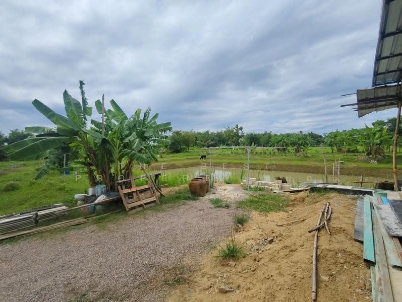 ที่ดินพร้อมสิ่งปลูกสร้างบ้านโป่ง ราชบุรี, ราชบุรี, สวนกล้วย, บ้านโป่ง, ราชบุรี, 10,864 ตร.ม., ที่ดิน ขาย, โดย The Best Property หยก, 500524247 - DDproperty.com