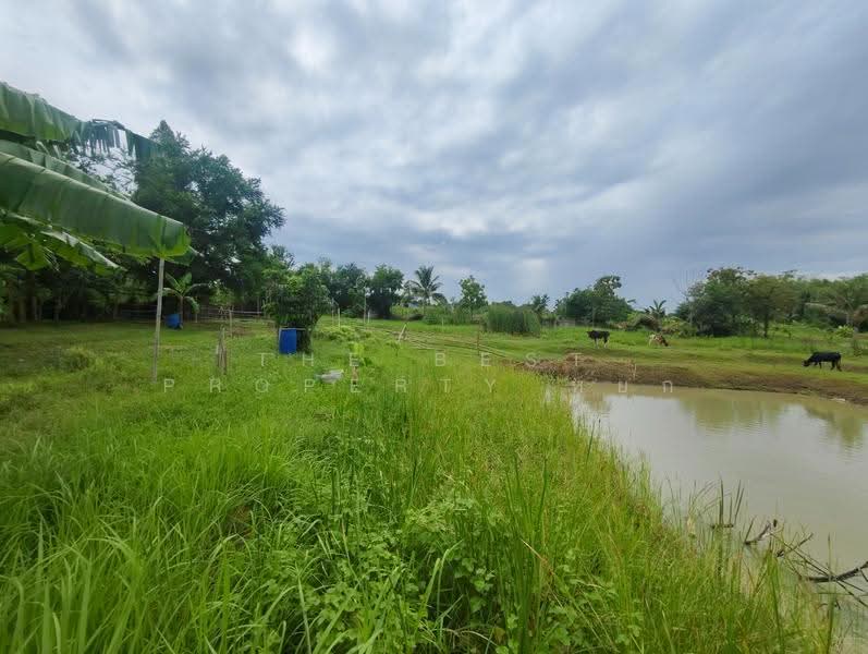 ที่ดินพร้อมสิ่งปลูกสร้างบ้านโป่ง ราชบุรี, Ratchaburi, Suan Kluai, Ban Pong, Ratchaburi, , 10,864 sqm, Land For Sale, by The Best Property หยก, 500524247 - DDproperty.com