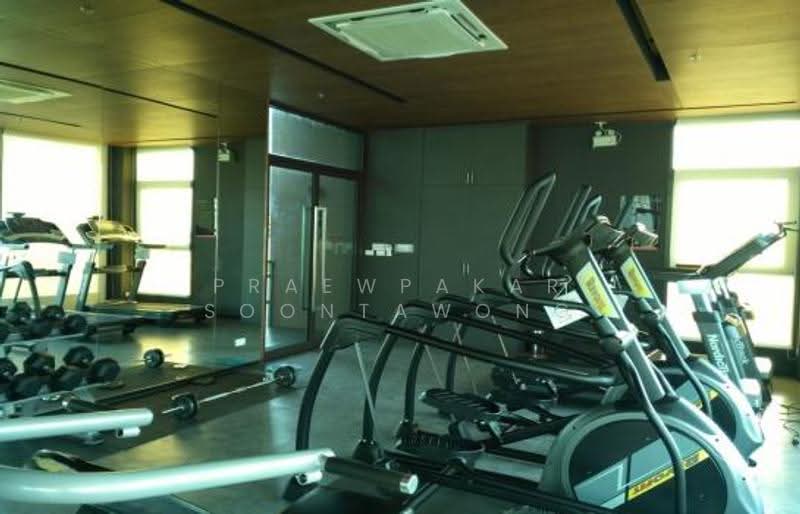 The Stage Taopoon Interchange, Bangkok, 318 Pracharat Road 2, Bang Sue, Bangkok, 1 Bedroom, 33 sqm, Condo For Rent, by Praewpakar Soontawong, 500524286 - DDproperty.com