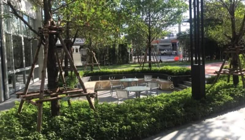 Lumpini Park Vibhavadi-Chatuchak : ลุมพินี พาร์ค วิภาวดี-จตุจักร, กรุงเทพ, ซอยวิภาวดีรังสิต 3 ถนนวิภาวดีรังสิต, จอมพล, จตุจักร, กรุงเทพ, 24 ตร.ม., คอนโด ให้เช่า, โดย Praewpakar Soontawong, 500524298 - DDproperty.com