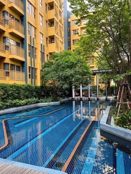 The Base Sukhumvit 50, Bangkok, Soi Roem Charoen 1, Sukhumvit 50 Road, Phra Kanong, Khlong Toei, Bangkok, 1 Bedroom, 30 sqm, Condo For Rent, by Praewpakar Soontawong, 500524322 - DDproperty.com