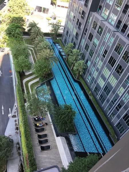 IDEO MOBI Sukhumvit Eastgate, Bangkok, 4371 Sukhumvit Road, Bang Na, Bangkok, 1 Bedroom, 31 sqm, Condo For Rent, by Praewpakar Soontawong, 500524377 - DDproperty.com