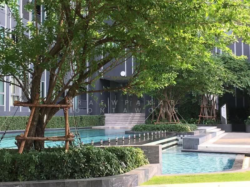 IDEO MOBI Sukhumvit Eastgate : ไอดีโอ โมบิ สุขุมวิท อีสท์เกต, กรุงเทพ, 4371 สุขุมวิท, บางนา, กรุงเทพ, 31 ตร.ม., คอนโด ให้เช่า, โดย Praewpakar Soontawong, 500524377 - DDproperty.com