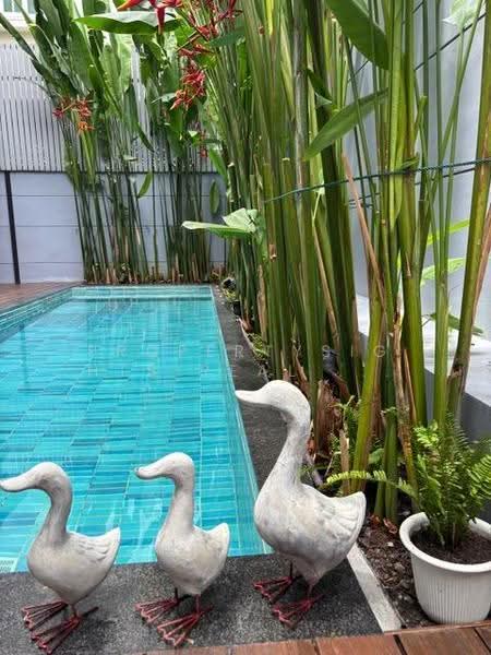Hosue BTS Phromphong 3 bed / 4 bath, Bangkok, Khlong Tan Nua, Watthana, Bangkok, 3 Bedrooms, 350 sqm, Single Detached House For Rent, by PROPERTYSIGHTS REAL ESTATE, 500524428 - DDproperty.com