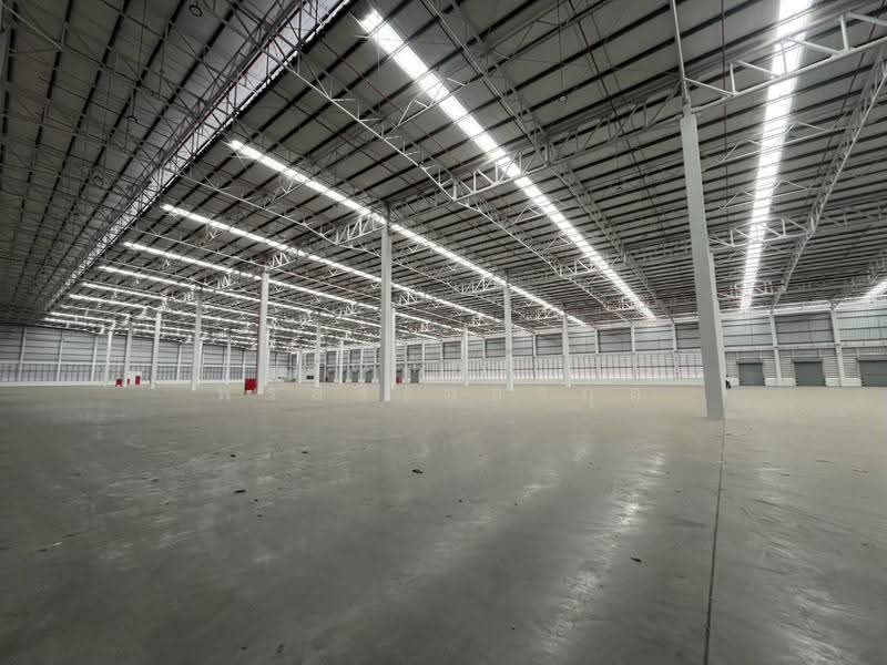 ให้เช่าคลังสินค้า โกดัง พื้นยกสูง 5,337 ตรม.บางนา ตราด สมุทรปราการ (TW8-29526), Samut Prakan, Bang Sao Thong, Samut Prakan, , 5,337 sqm, Warehouse/Factory For Rent, by ณภัทร พรสิริเมธากุล, 500524437 - DDproperty.com
