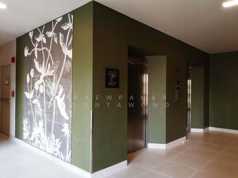 Noble Solo, Bangkok, 988 Thong Lo, Khlong Tan Nua, Watthana, Bangkok, 1 Bedroom, 35 sqm, Condo For Rent, by Praewpakar Soontawong, 500524462 - DDproperty.com