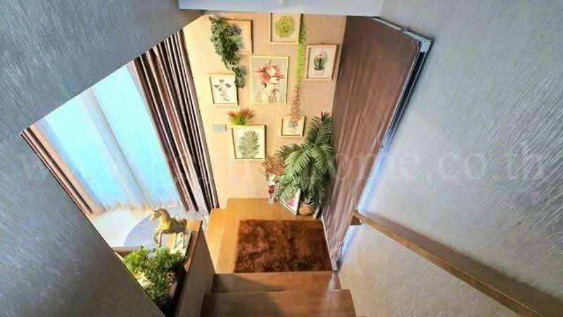 The Plant Rangsit Klong 4-Wongwaen : เดอะ แพลนท์ รังสิต คลอง 4-วงแหวน, ปทุมธานี, 53-1 ถนน รังสิต-นครนายก, คลองสี่, คลองหลวง, ปทุมธานี, 140 ตร.ม., บ้านเดี่ยว ขาย, โดย คุณ ศันสนีย์  ( เก๋ ), 500524543 - DDproperty.com