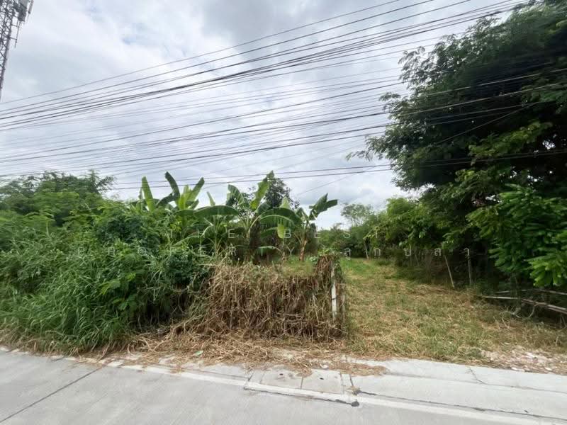ที่ดินห้วยจรเข้ นครปฐม, นครปฐม, ห้วยจรเข้, เมืองนครปฐม, นครปฐม, 928 ตร.ม., ที่ดิน ขาย, โดย The Best Property ลูกปลา, 500524544 - DDproperty.com