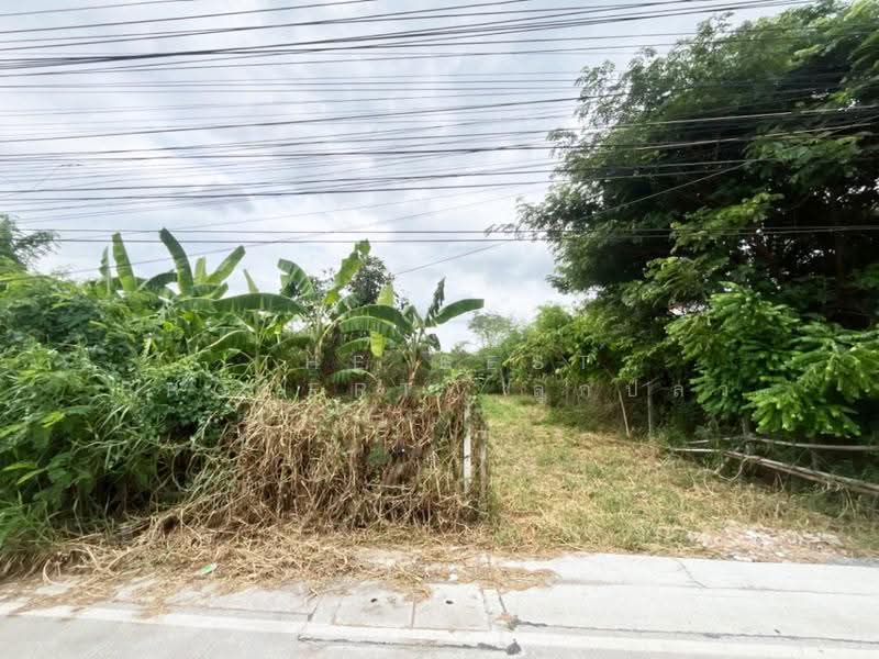 ที่ดินห้วยจรเข้ นครปฐม, Nakhon Pathom, Huai Chorakhe, Muang Nakhon Pathom, Nakhon Pathom, , 928 sqm, Land For Sale, by The Best Property ลูกปลา, 500524544 - DDproperty.com