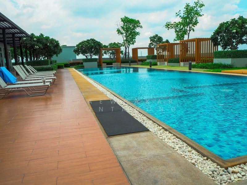 Aspire Ngamwongwan, Bangkok, 222 Ngamwongwan Road, Thung Song Hong, Lak Si, Bangkok, 1 Bedroom, 28 sqm, Condo For Rent, by Praewpakar Soontawong, 500524564 - DDproperty.com