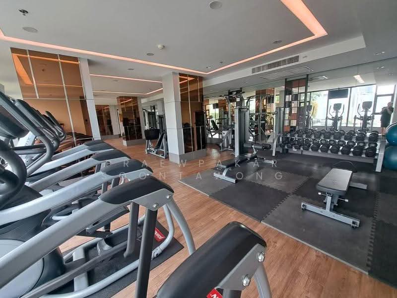 Supalai Loft @ Talat Phlu Station, Bangkok, Ratchadaphisek Road, Talat Plu, Thon Buri, Bangkok, 1 Bedroom, 35 sqm, Condo For Rent, by Praewpakar Soontawong, 500524653 - DDproperty.com