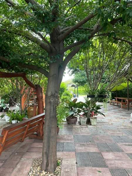 Baan Puntiya Suwinthawong, Bangkok, Soi Suwinthawong 11, Saen Sab, Min Buri, Bangkok, 4 Bedrooms, 412 sqm, Single Detached House For Rent, by Hathairat Rookphan, 500524661 - DDproperty.com