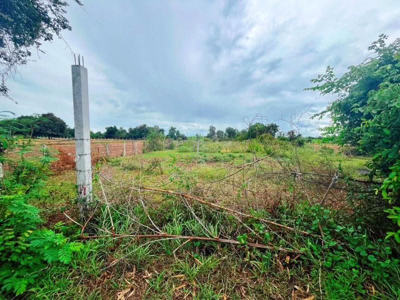 ที่ดินท่าม่วง กาญจนบุรี, Kanchanaburi, Nong Khao, Tha Muang, Kanchanaburi, , 2,528 sqm, Land For Sale, by The Best Property แอ้, 500524670 - DDproperty.com