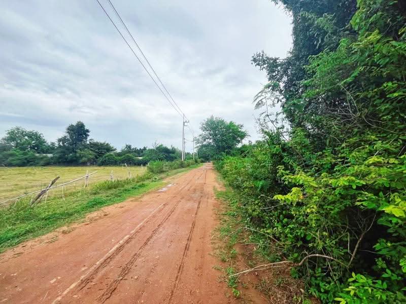 ที่ดินท่าม่วง กาญจนบุรี, Kanchanaburi, Nong Khao, Tha Muang, Kanchanaburi, , 2,528 sqm, Land For Sale, by The Best Property แอ้, 500524670 - DDproperty.com