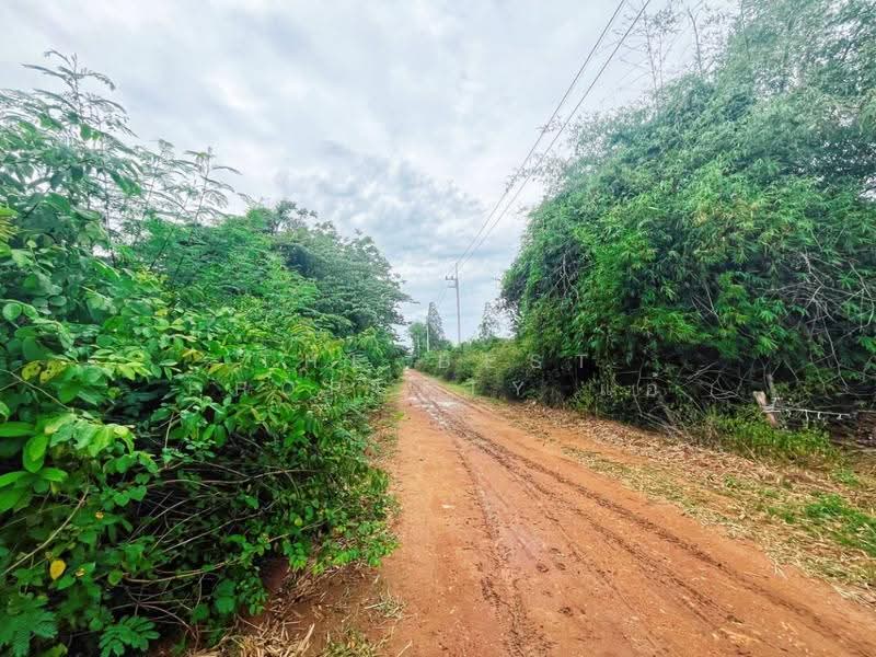 ที่ดินท่าม่วง กาญจนบุรี, กาญจนบุรี, หนองขาว, ท่าม่วง, กาญจนบุรี, 2,528 ตร.ม., ที่ดิน ขาย, โดย The Best Property แอ้, 500524670 - DDproperty.com