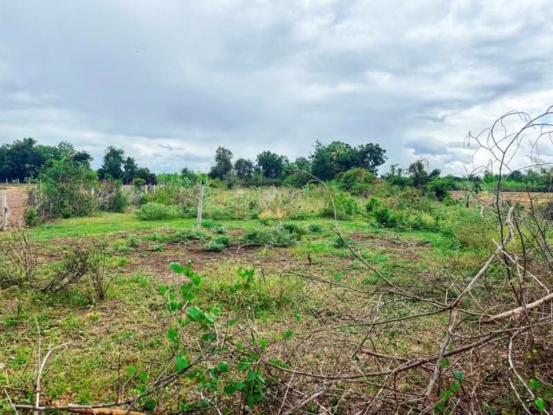 ที่ดินท่าม่วง กาญจนบุรี, Kanchanaburi, Nong Khao, Tha Muang, Kanchanaburi, , 2,528 sqm, Land For Sale, by The Best Property แอ้, 500524670 - DDproperty.com