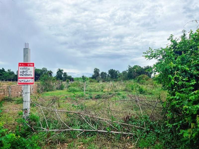 ที่ดินท่าม่วง กาญจนบุรี, Kanchanaburi, Nong Khao, Tha Muang, Kanchanaburi, , 2,528 sqm, Land For Sale, by The Best Property แอ้, 500524670 - DDproperty.com