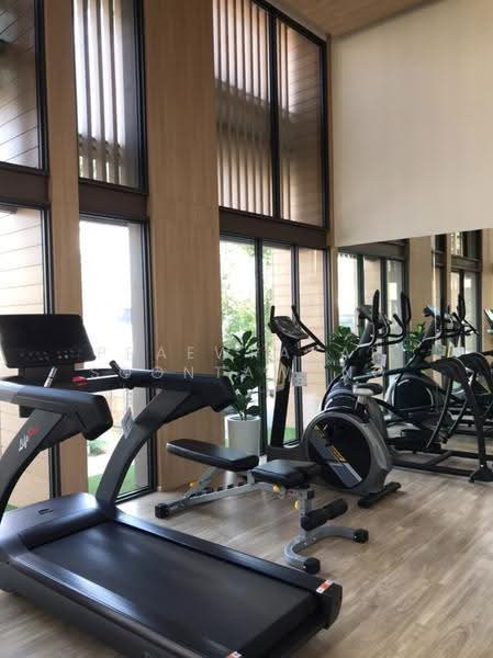 Cocoon Rama 9, Bangkok, Rama 9 Soi 57, Suan Luang, Bangkok, 1 Bedroom, 30 sqm, Condo For Rent, by Praewpakar Soontawong, 500524705 - DDproperty.com